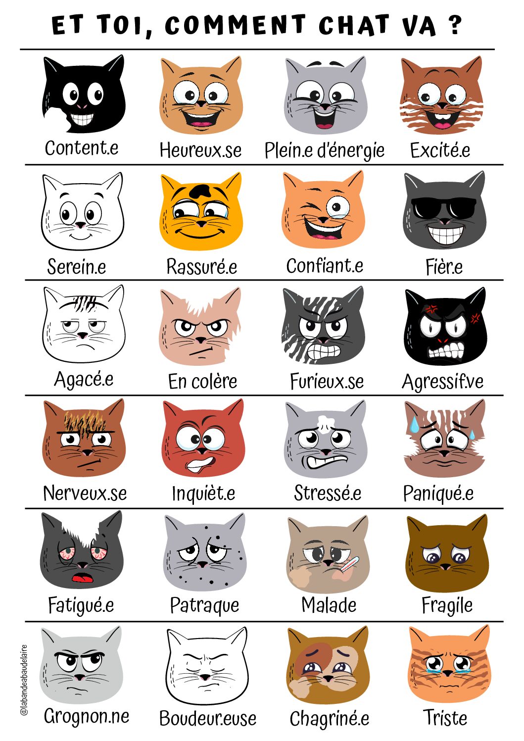 Affiche Comment chat va ? - Enseignement Catholique 28